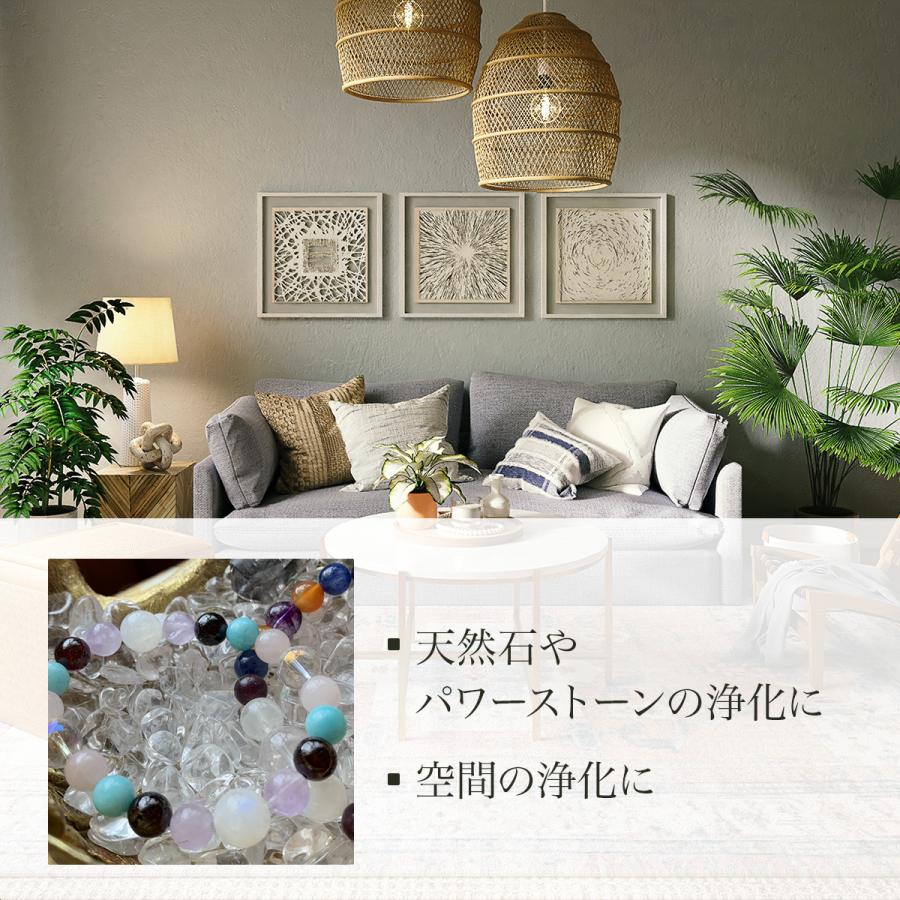 ホワイトセージ 浄化用 枝付き クラスター 約100g 浄化 無農薬 高品質