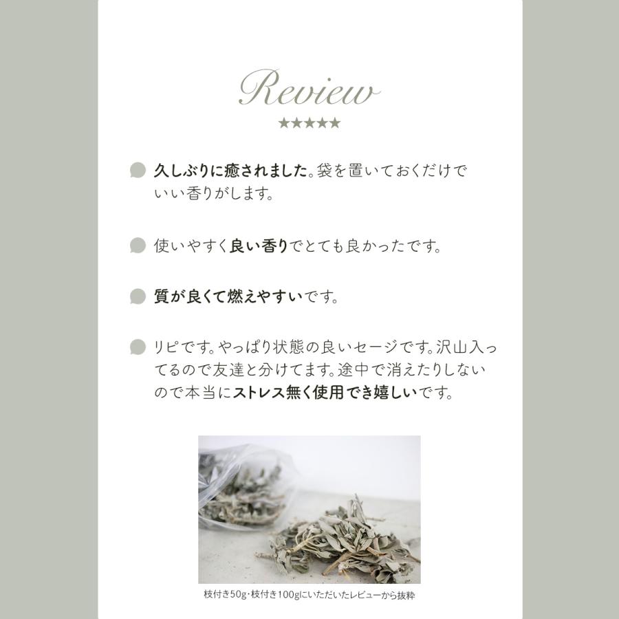 ホワイトセージ 浄化用 枝付き クラスター 約100g 浄化 無農薬 高品質