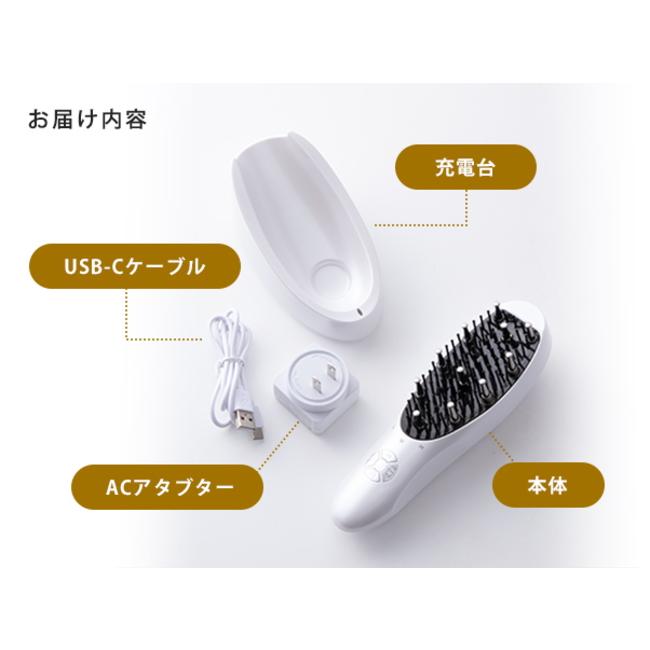 アデランス 爆買 電気リフトブラシ DoRAISE ドゥライズ EMS美顔器 5