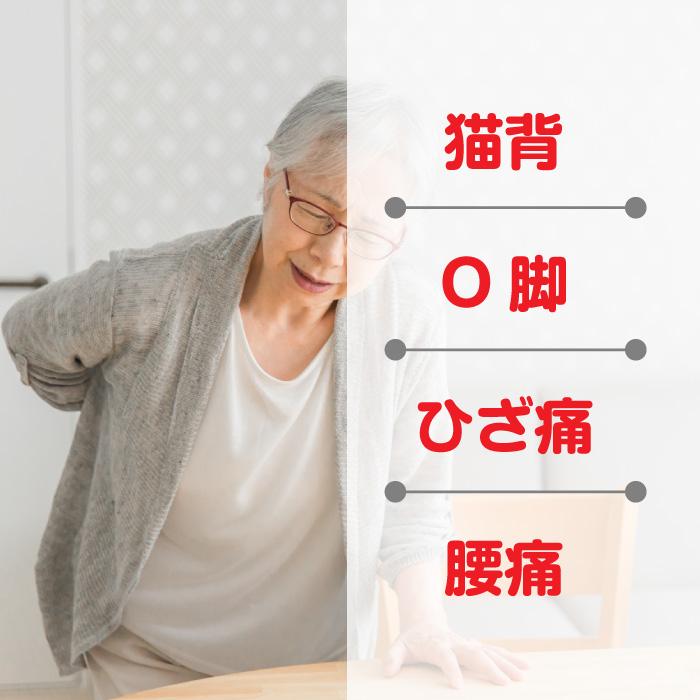 エナジーラバー メディカルホールドGBスポーツ ER-M02GB 足用