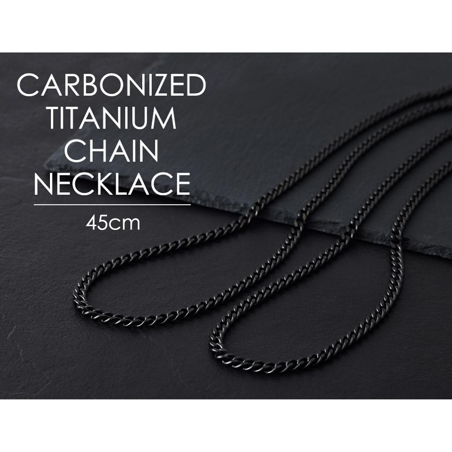 Phiten（ファイテン） 炭化チタンチェーンネックレス 45cm スポーツ