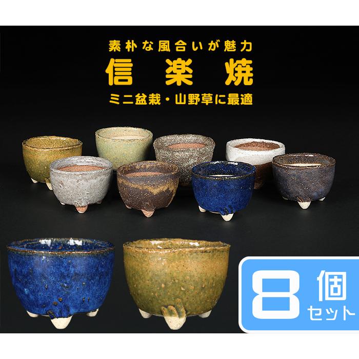 盆栽鉢 山野草鉢 「信楽焼楽風ミニ鉢8点セット」 植木鉢 陶器 2号 7cm