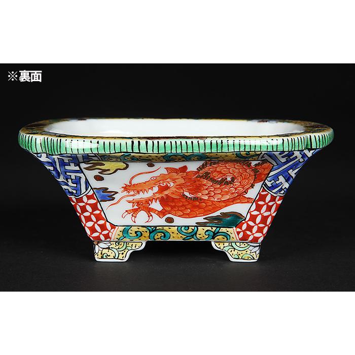 九谷晃雲色絵龍図長方鉢 盆栽鉢 鉢 植木鉢 小鉢 bonsaipot 作家鉢 くた