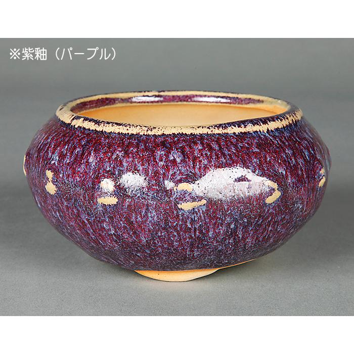 盆栽鉢 「広東色小鉢4点セット」 植木鉢 色鉢 中国鉢 4号 11.5cm 小品