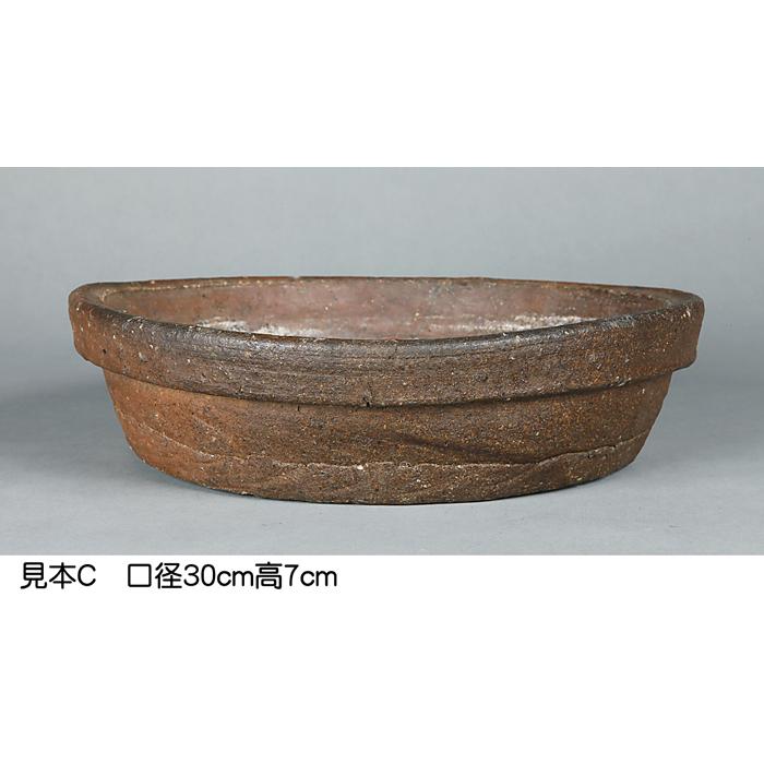 盆栽鉢 山野草鉢 「本南蛮丸鉢（中）」 寄せ植え 文人盆栽 草物に最適