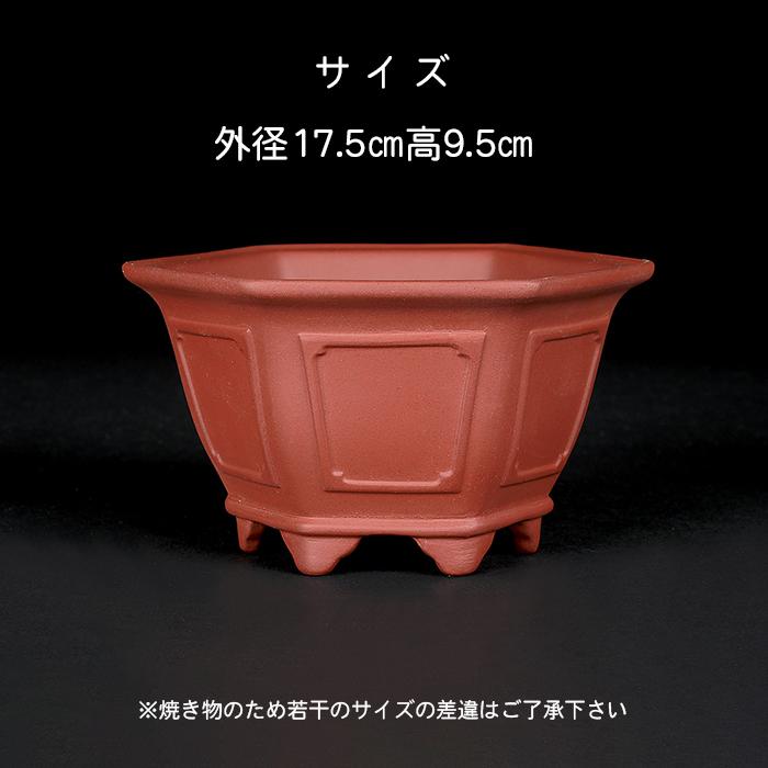 盆栽鉢 紫泥外縁額面六角鉢 朱泥 植木鉢 中国鉢 泥鉢 懸崖鉢 陶器 6号