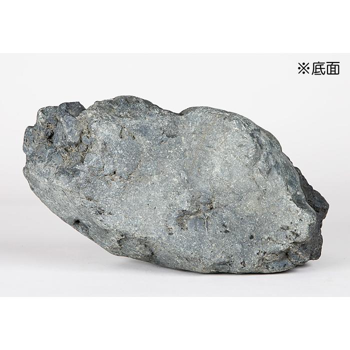 水石 「千軒石」 盆石 天然石 すいせき 台座付き 現品限り : 盆栽彩都