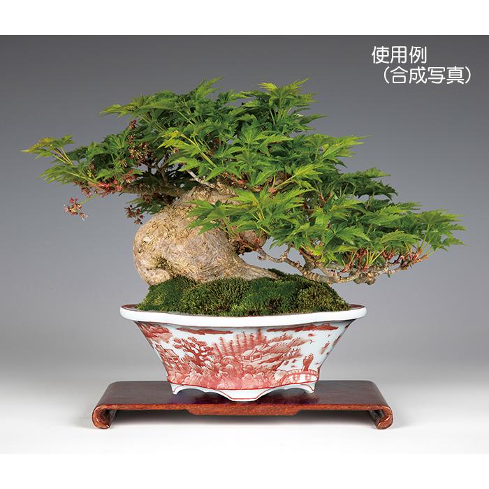 盆栽鉢 植木鉢 「平安泉山赤絵山水図木瓜式鉢 小」 絵付 絵鉢 清水焼