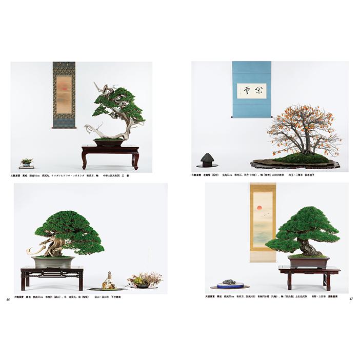 書籍 本 盆栽専門誌「第41回 日本盆栽大観展 記念帳」盆栽 松柏 雑木