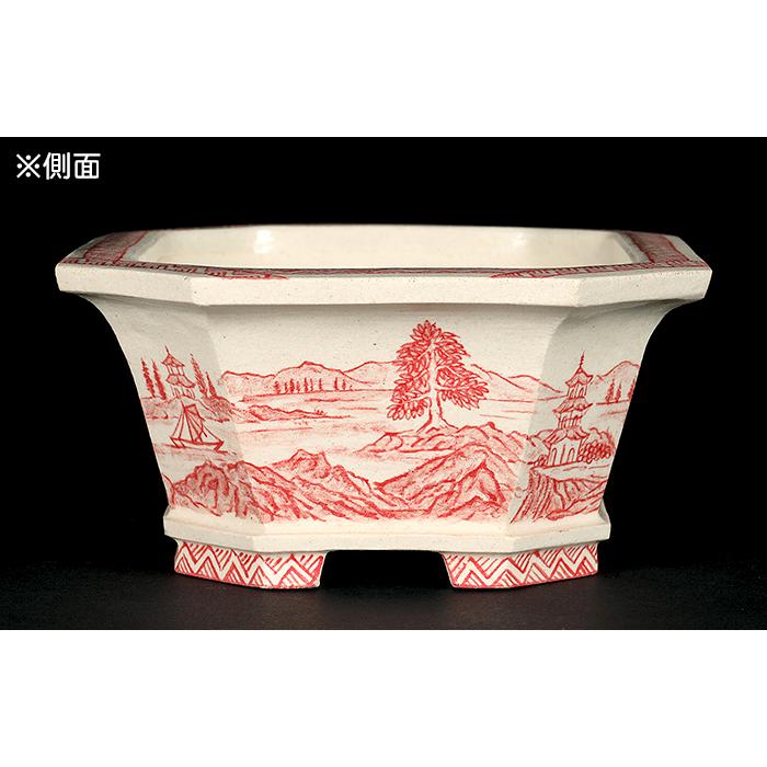 盆栽鉢 「高山赤絵山水図長方鉢」 植木鉢 絵付鉢 作家鉢 磁器 5号 15cm