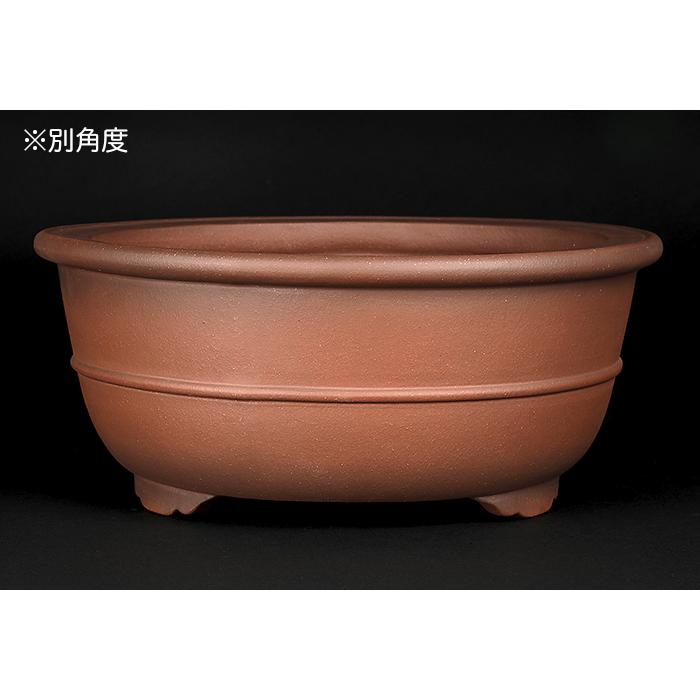 盆栽鉢 紫泥外縁胴紐丸鉢 植木鉢 中国鉢 張氏製陶 落款あり 13号 38cm