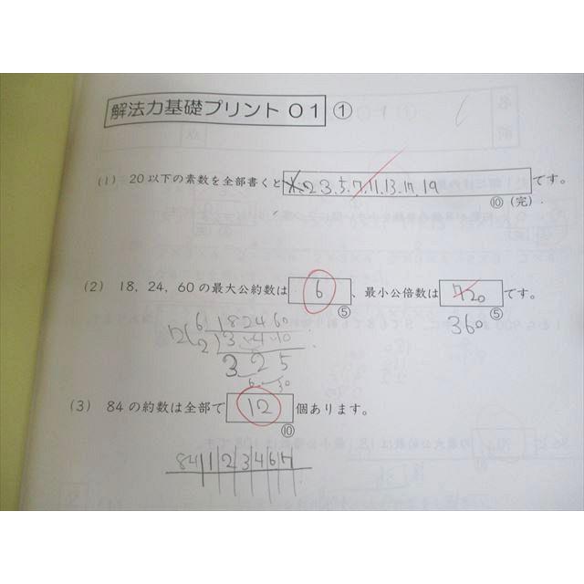 SAPIX 小6 算数 SS特訓 サンデーサピックス 解法力01〜14 全14回フル