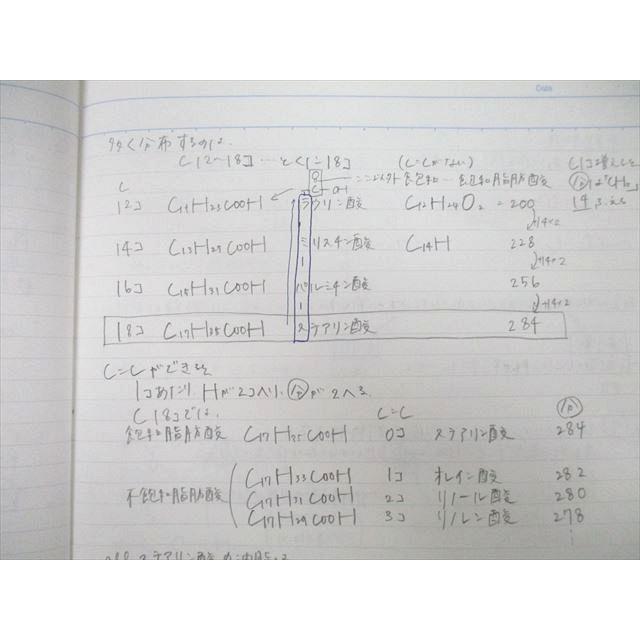 SEG (科学的教育グループ) 有機化学基本/無機化学/理論化学理解確認