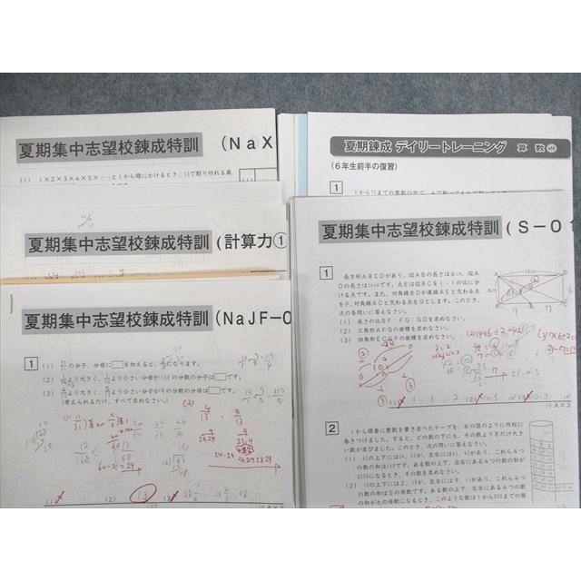 SAPIX サピックス 夏期集中志望校錬成特訓S/NaX/NaJF/計算力/デイリー