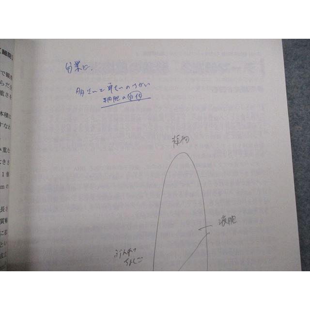 駿台 生物 トリプルミラクル 2023 夏期 朝霧靖俊 ☆ 005s0C : ブックス