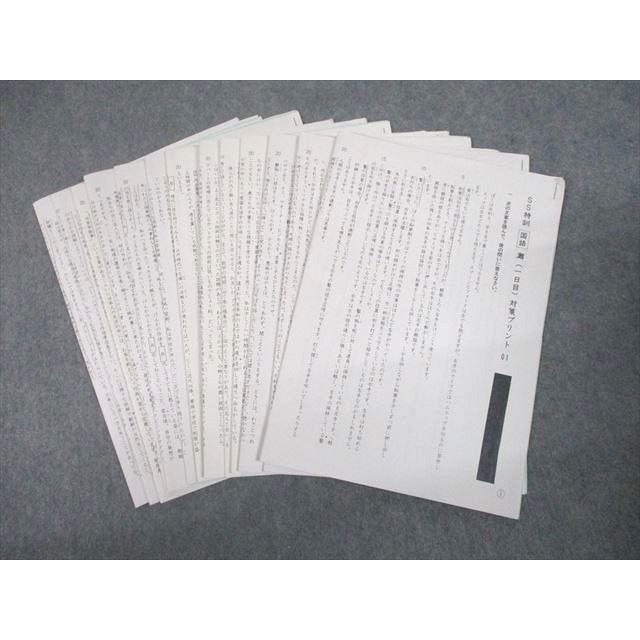 SAPIX 小6 SS特訓 国語 灘 対策プリント01〜14 全14回 フルセット 2020