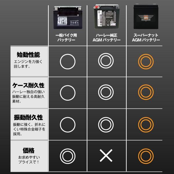 SUPER NATTO（スーパーナット） バイク用バッテリー ハーレー専用AGM
