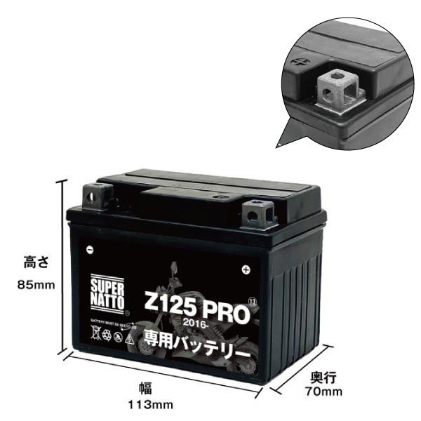 SUPER NATTO（スーパーナット） バイク用バッテリー＋充電器セット