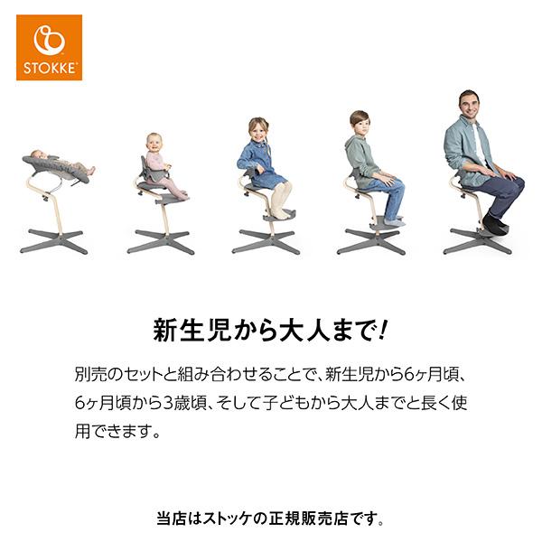 STOKKE（ストッケ） 【メーカー7年保証】ノミ2点セット（Nomiチェア