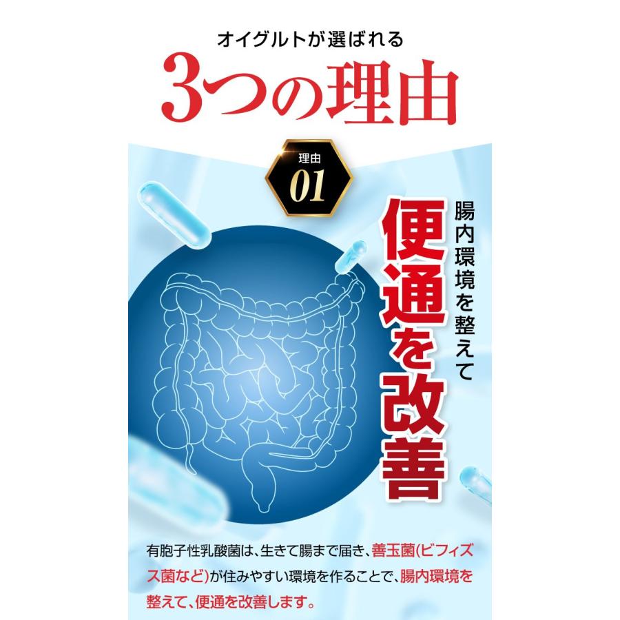 オイグルト Oigurt BACCHUS ONLINE SHOP