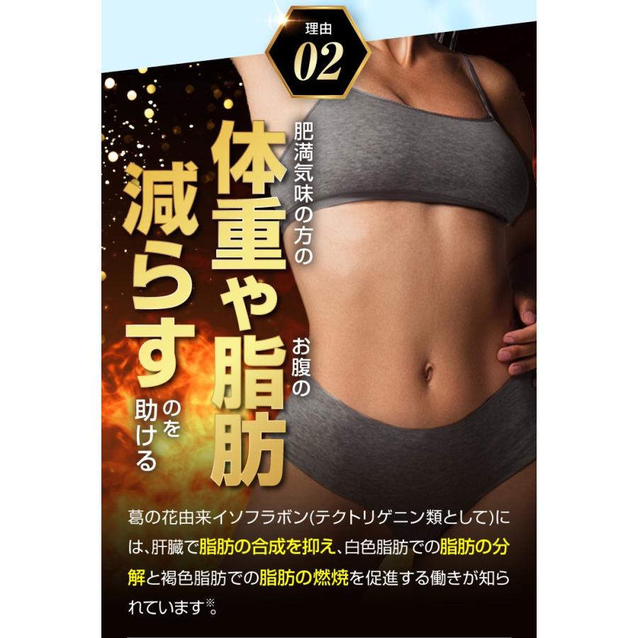 Oi gurt-オイグルト- 30日分】 ダイエットサプリ 機能性表示食品 便秘