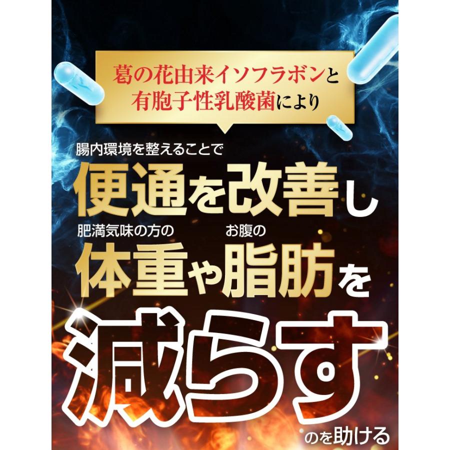Oi gurt-オイグルト- 30日分】 ダイエットサプリ 機能性表示食品 便秘