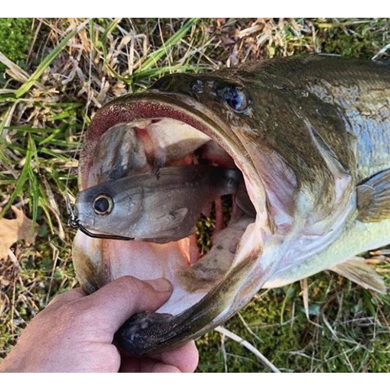 ワーキングクラスゼロ シチズン 7inch 3p WORKINGCLASSZERO