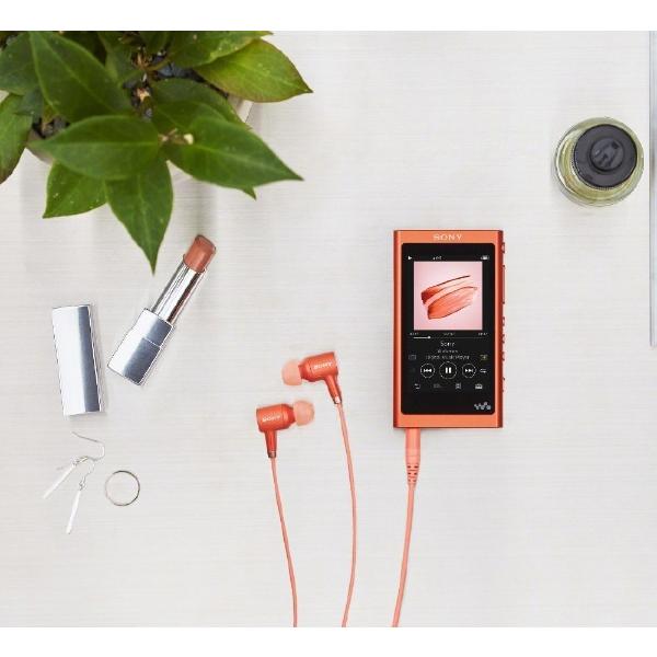 WALKMAN Aシリーズ SONY ウォークマン 2018年モデル カナル型イヤホン