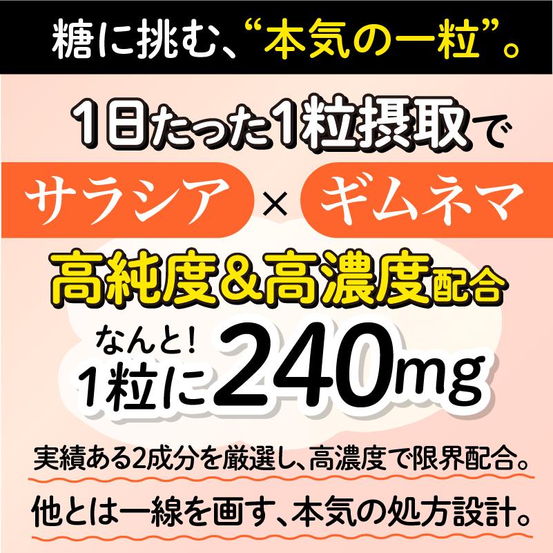 ザ糖質プレミアムダイエット 20粒入り サラシア ギムネマ 糖質