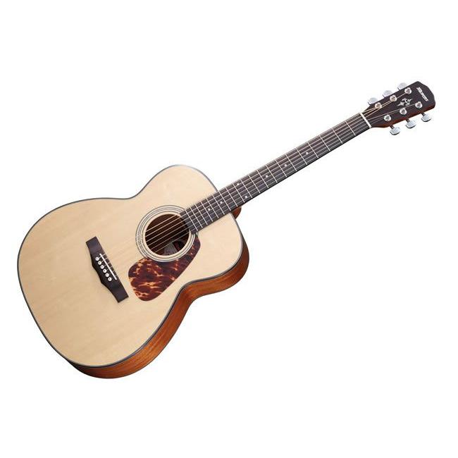 送料無料】Morris（モーリス）アコースティックギター/F-351/カラー