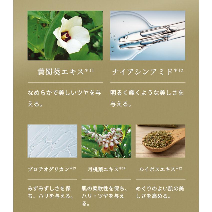 正規品】NARIS ナリス化粧品 新品 セルグレース フォーミュラ(高機能