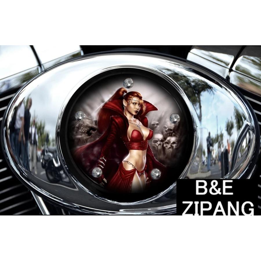 ハーレーダビッドソン カスタム Vツイン カム エアクリーナー カバー