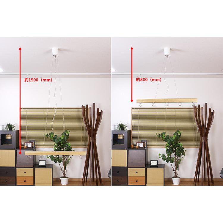 DI CLASSE（ディクラッセ） ペンダントライト シーリングライト