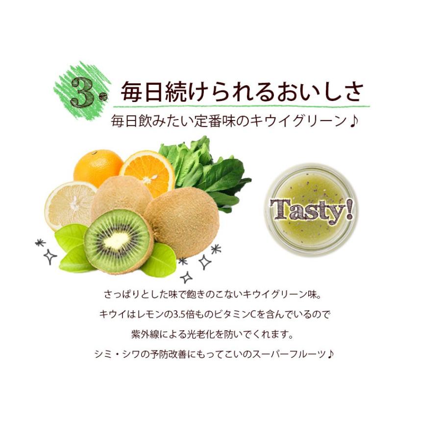 キウイグリーン味 300g 約50杯分 スムージー チアシード配合 置き換え