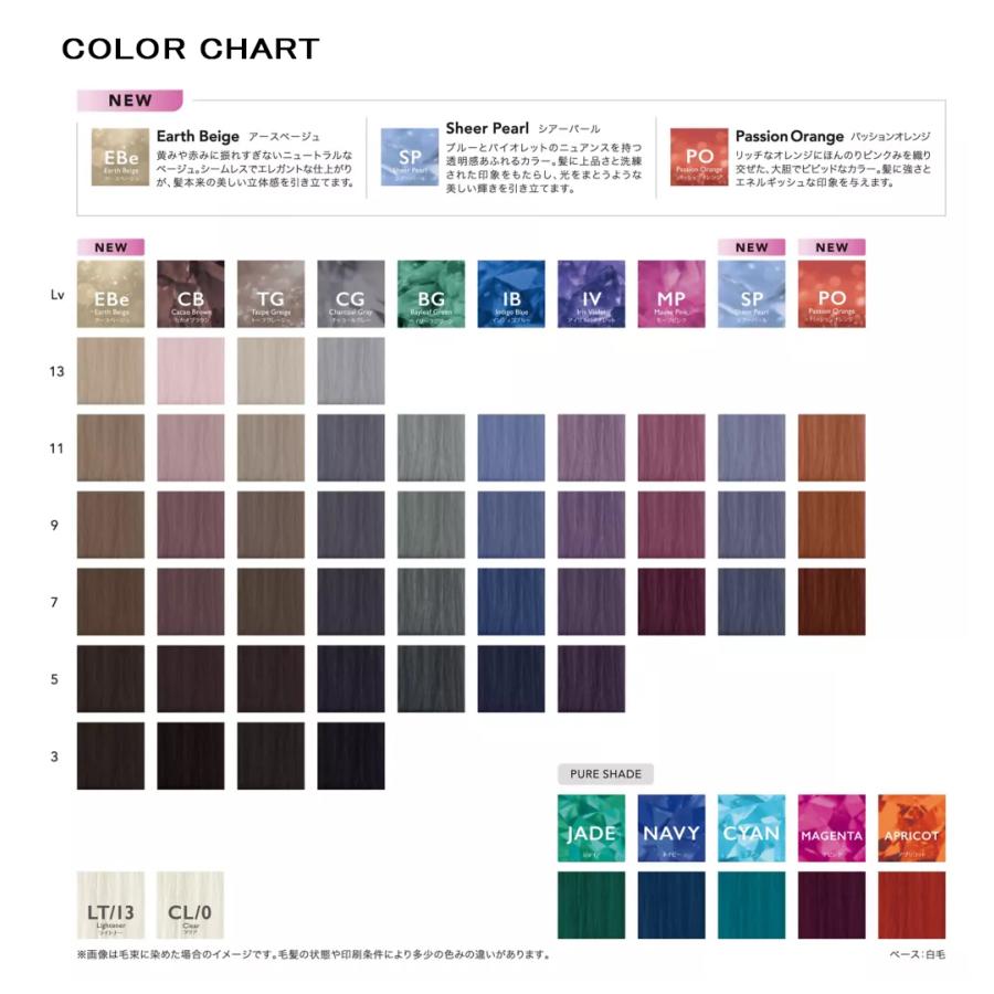 SHISEIDO PROFESSIONAL（資生堂プロフェッショナル） 資生堂