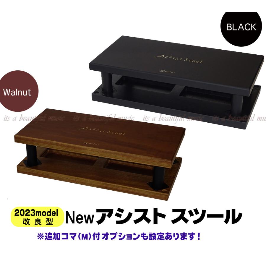 吉澤 【its】2023年秋・改良最新型入荷！YOSHIZAWA Newアシスト