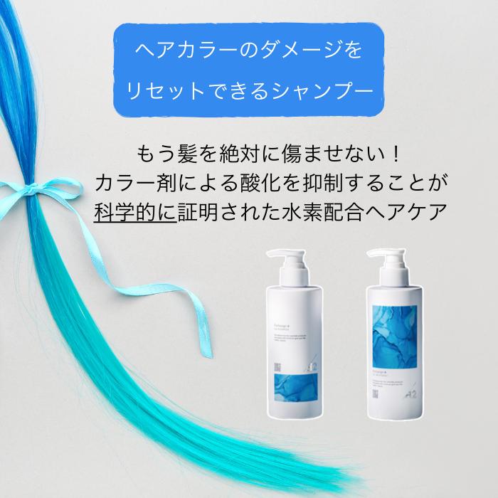 STRI（ストリ） エクスチェンジプラス H2 シャンプー トリートメント