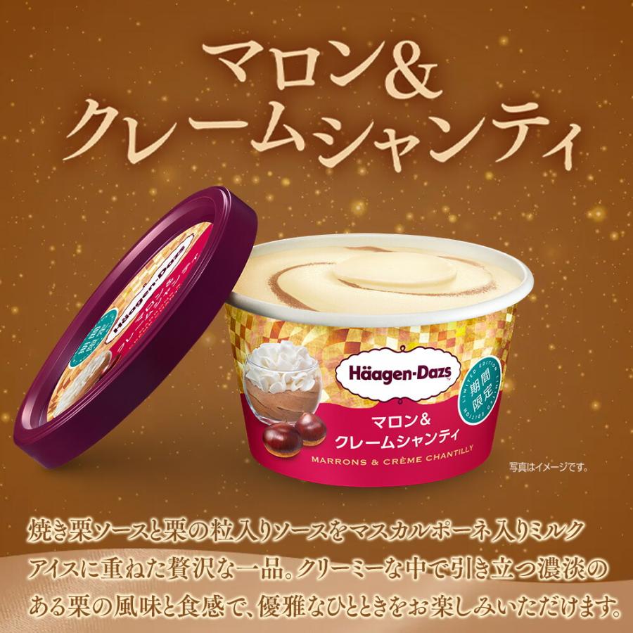 2025 冬ギフト】ハーゲンダッツ プレミアムギフト | アイスクリーム