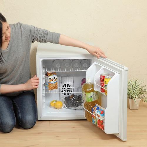 SunRuck（サンルック） 冷蔵庫 小型冷蔵庫 1ドア ペルチェ式 48L 1ドア