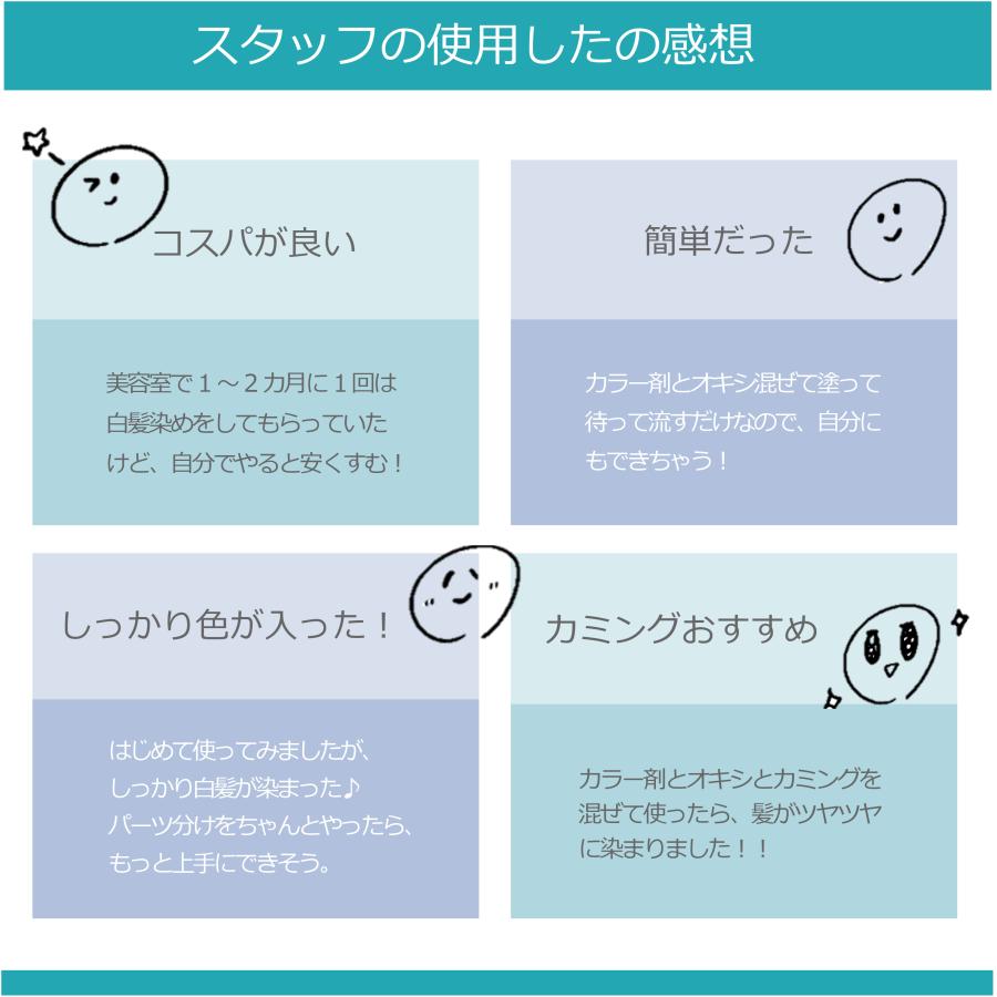 SHISEIDO PROFESSIONAL（資生堂プロフェッショナル） 資生堂