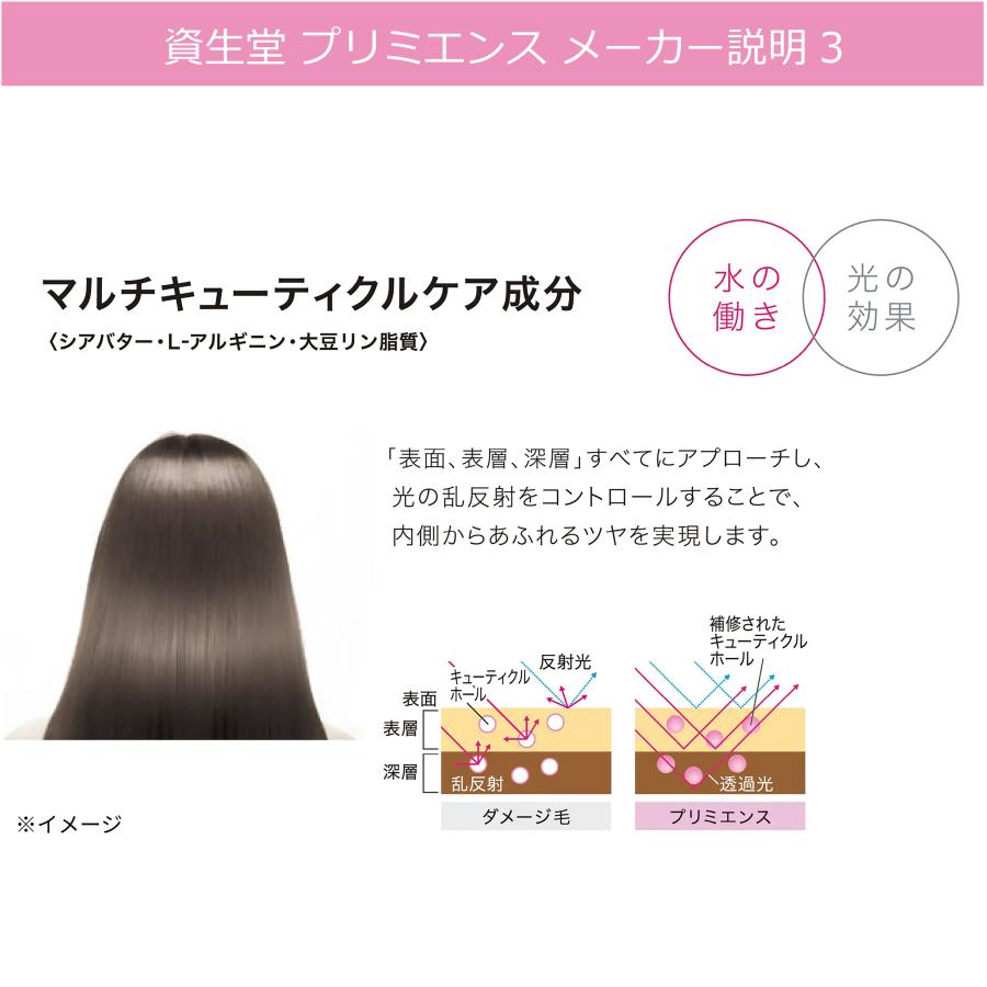 SHISEIDO PROFESSIONAL（資生堂プロフェッショナル） 資生堂