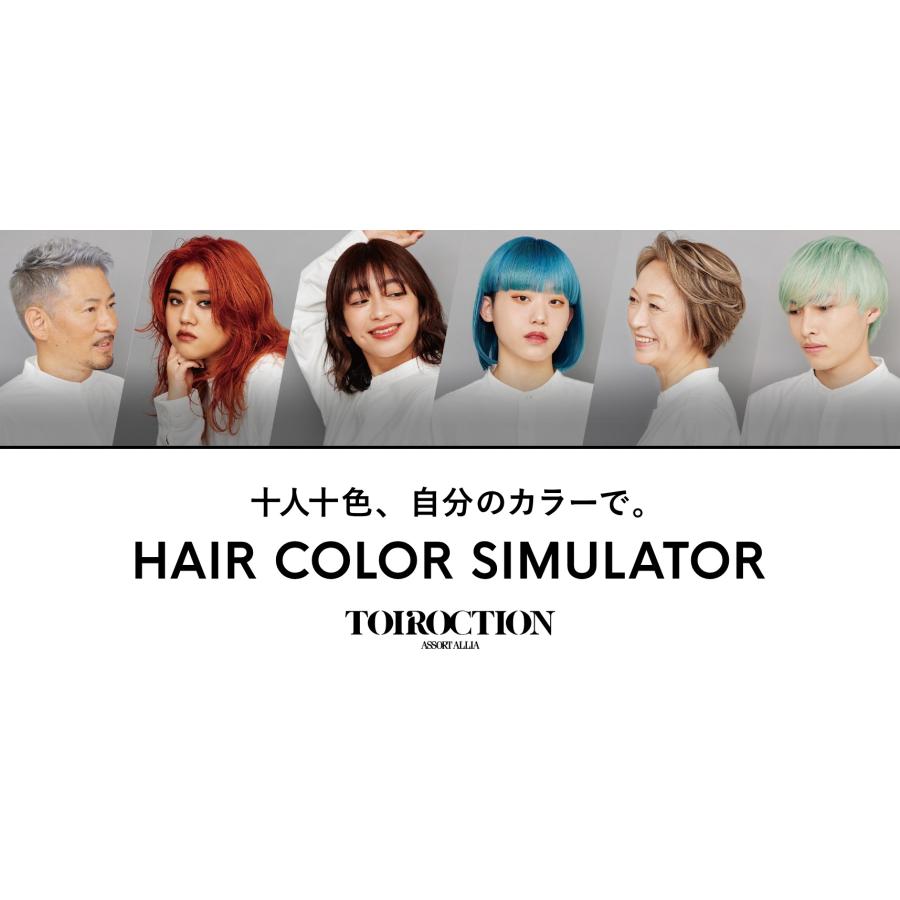 デミ コスメティクス（DEMI COSMETICS） デミ トイロクション 白髪染め