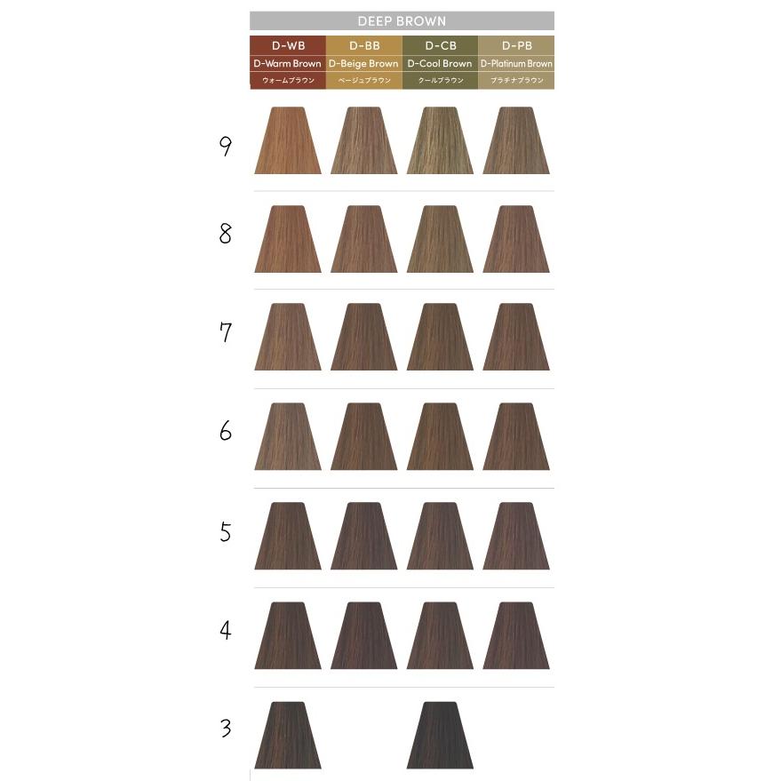 デミ コスメティクス（DEMI COSMETICS） デミ トイロクション 白髪染め