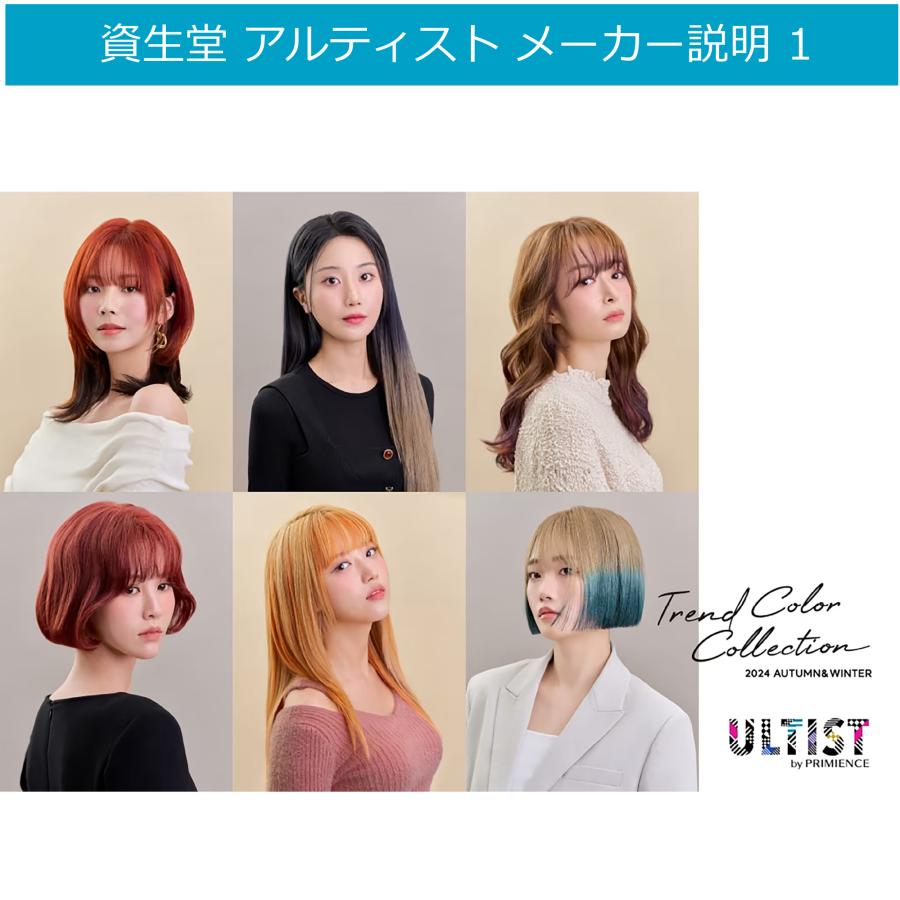 ULTIST 資生堂 アルティスト 80g と オキシ 1000ml セット 女性用