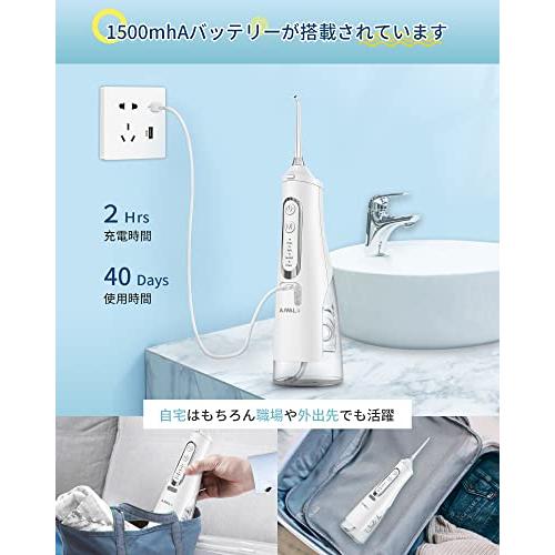 口腔洗浄器 ジェットウォッシャー ANWALE 替えノズル4本 4種類の水流