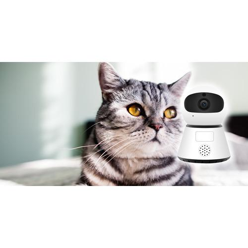 FUGU INNOVATIONS JAPAN FG-SCAM03-2-WH 無線LAN接続 小型ネットワーク