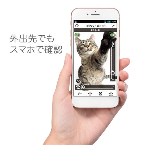 パナソニック KX-HDN215-K HDペットカメラ ブラック KXHDN215 : ベスト