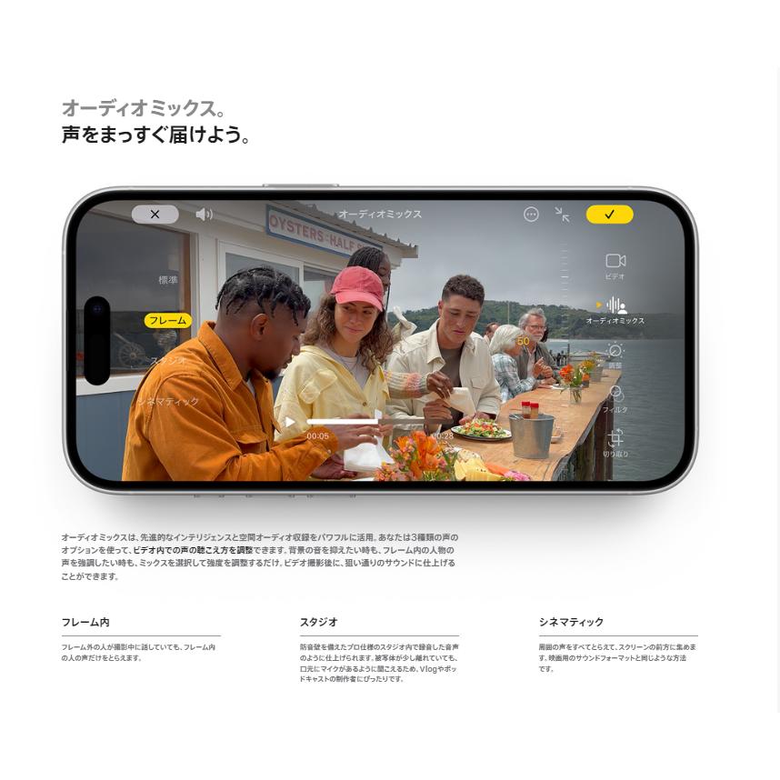 iPhone 【国内版SIMフリー・新品未開封】iPhone16 256GB ホワイト