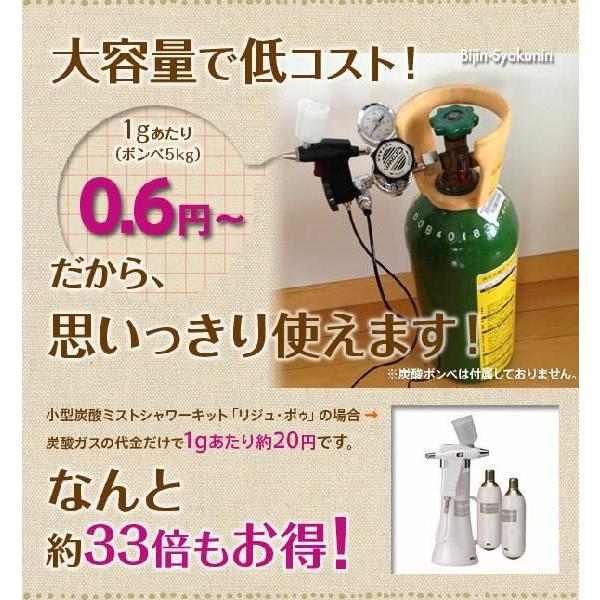 セラミド 炭酸ミスト 業務用 あすつく 送料無料 酸ミストシャワーを