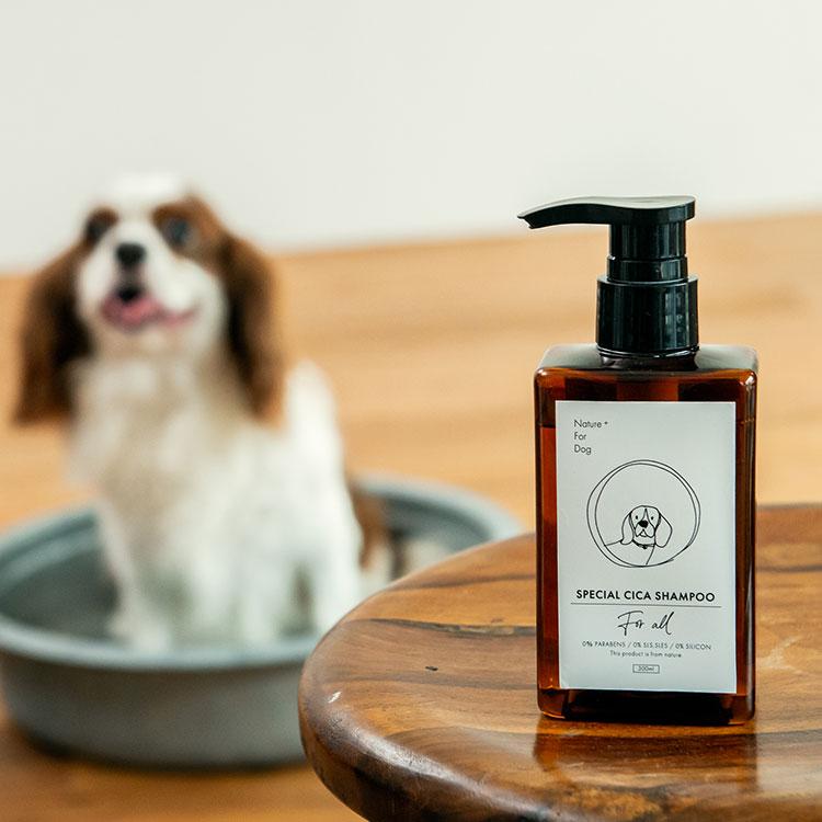 Nature+ For Dog スペシャル シカシャンプー ネイチャーフォードッグ